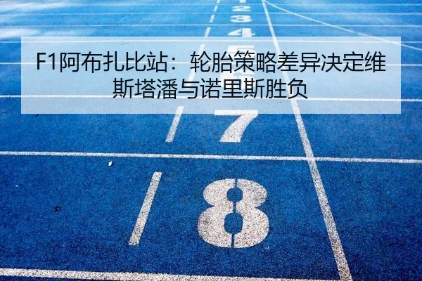 F1阿布扎比站：轮胎策略差异决定维斯塔潘与诺里斯胜负